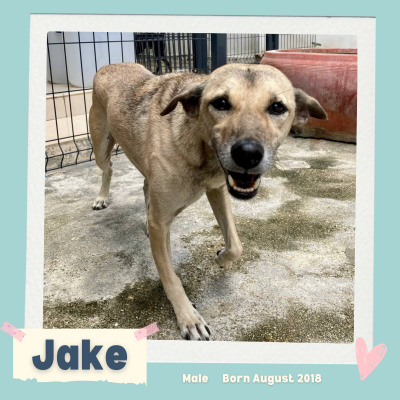 Jake