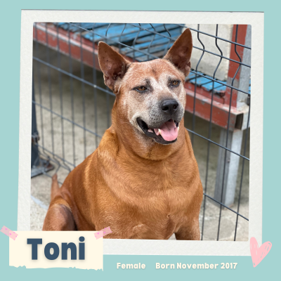 Toni